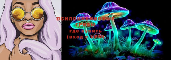 гидра Медвежьегорск