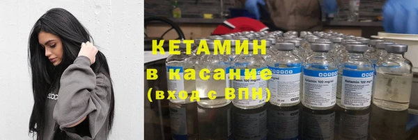 сатива Кирсанов