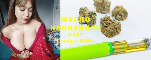 гидра Медвежьегорск