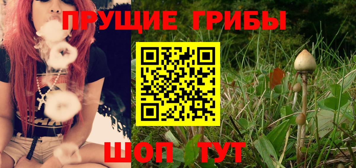 Галлюциногенные грибы Psilocybe  Вход с VPN  Псилоцибиновые грибы Magic Shrooms  дарнет шоп  Нефтекамск 