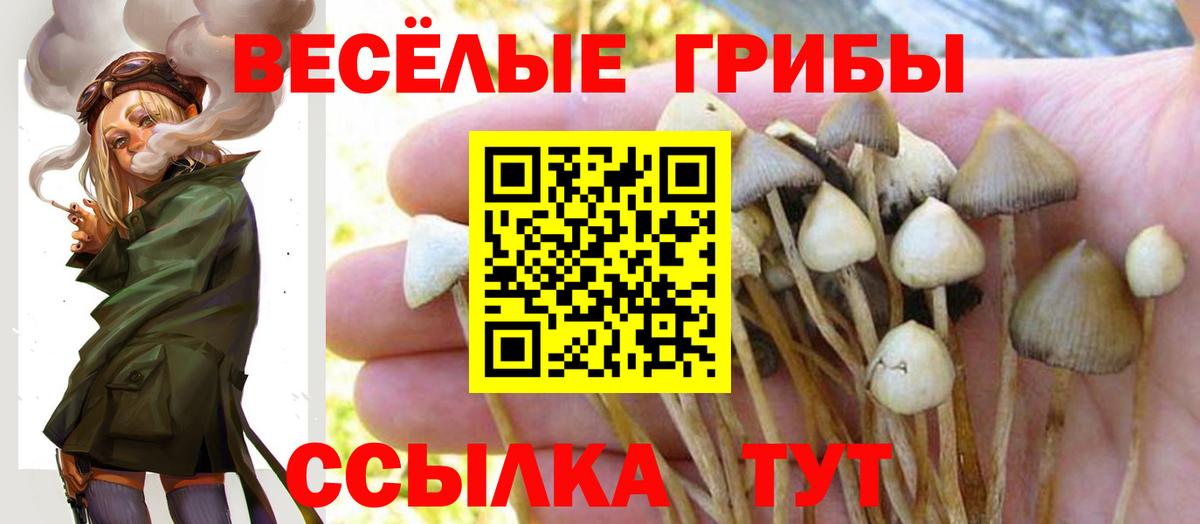 Галлюциногенные грибы GOLDEN TEACHER  Нефтекамск 